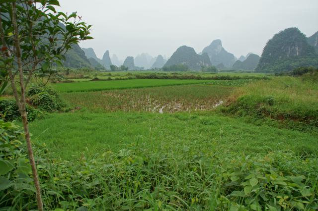 20130907_China_0933.jpg