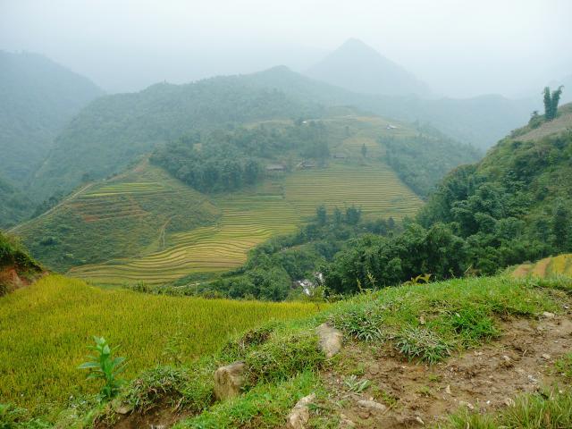 Vietnam 2007