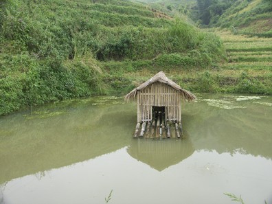 Vietnam0484.jpg